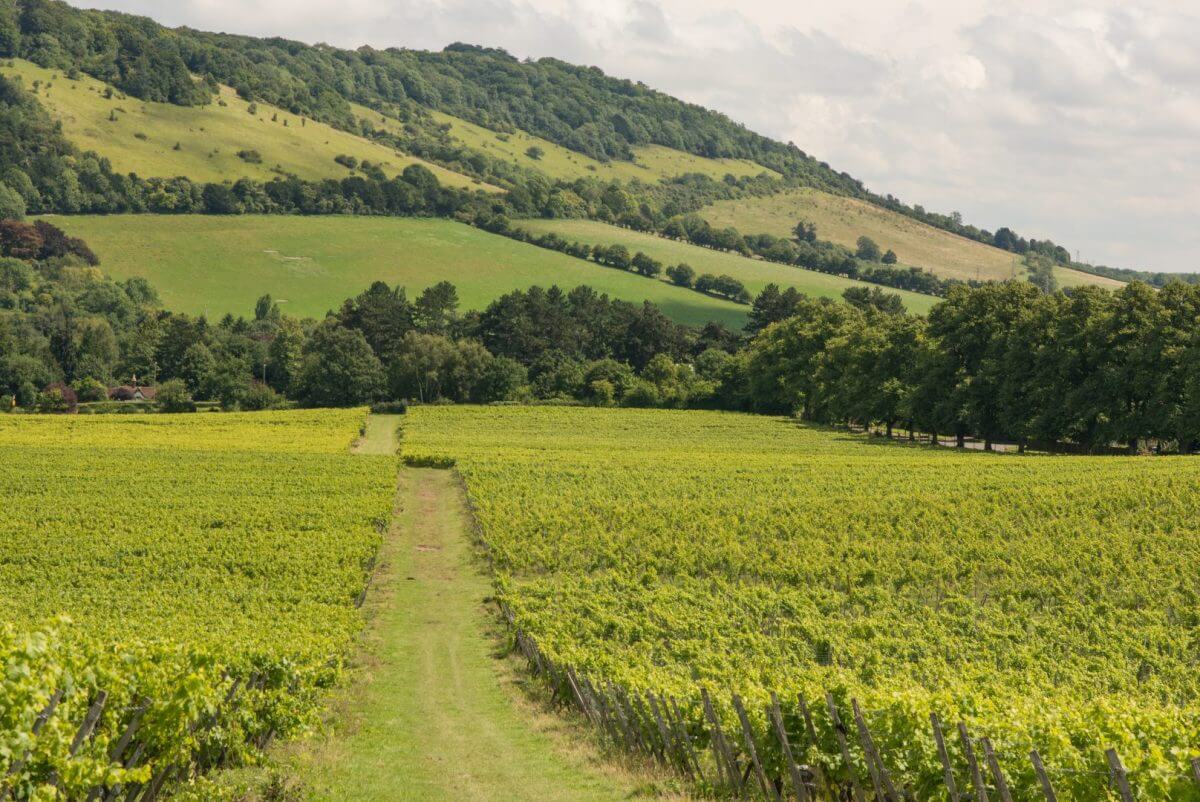 Surrey, Daratan Hijau Nan Indah Tempat Syuting Film Box Office